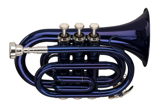 Acheter une trompette? 