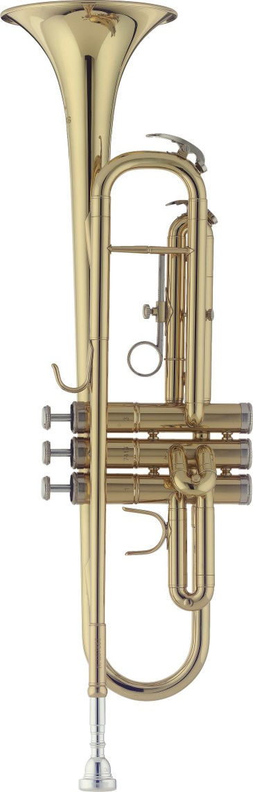 Achat/Vente Plus - Instruments à vent Sourdine wah wah vintage pour  trompette - Rockstation